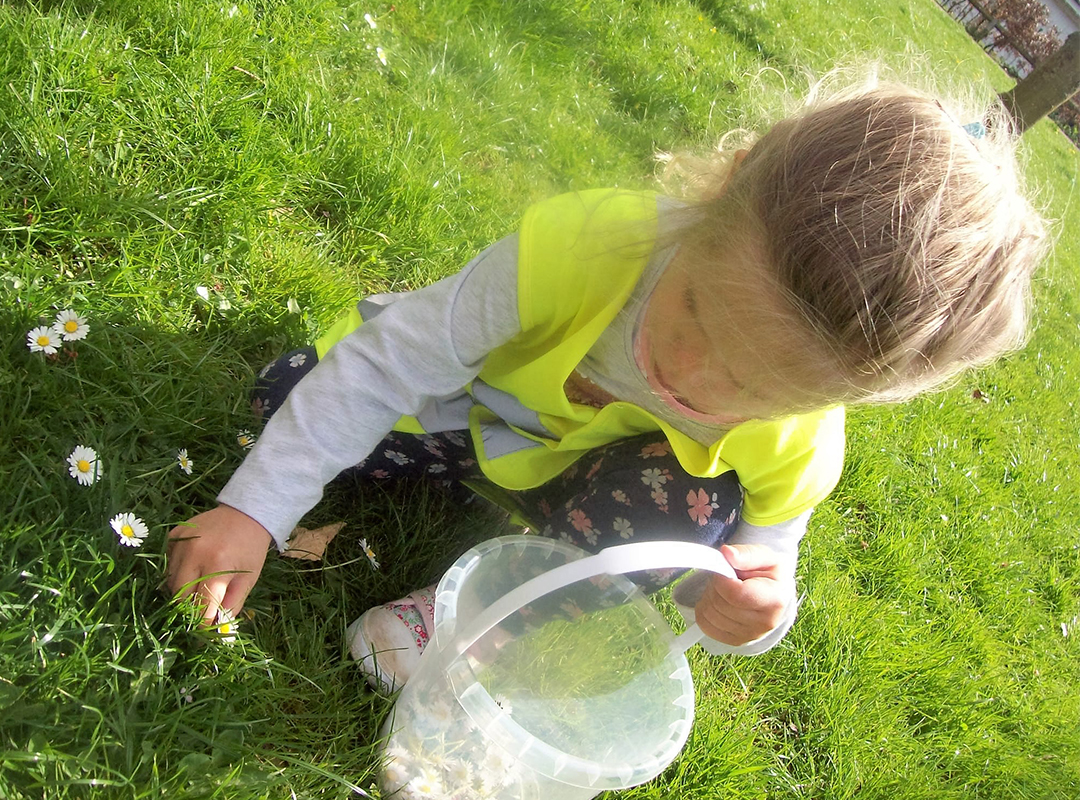 Lickhill Road Newsletter